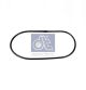 DT Spare Parts Dichtung, Thermostat 1.24155