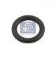 DT Spare Parts Dichtring 1.24301