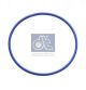 DT Spare Parts Dichtring 1.24303