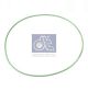DT Spare Parts Dichtring 1.24309