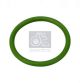 DT Spare Parts Dichtring 1.24311