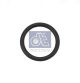 DT Spare Parts Dichtring 1.24319