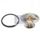 DT Spare Parts Thermostat, Kühlmittel 1.31137