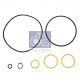 DT Spare Parts Dichtungssatz, Zentrifugalreiniger 1.31154