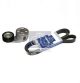 DT Spare Parts Keilrippenriemensatz 1.31180