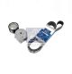DT Spare Parts Keilrippenriemensatz 1.31183