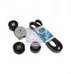 DT Spare Parts Keilrippenriemensatz 1.31186