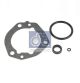 DT Spare Parts Dichtung, Differential 1.31466