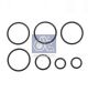 DT Spare Parts Reparatursatz, Hydraulikaggregat 1.31670