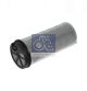 DT Spare Parts Filter, Kraftstoff-Fördereinheit 2.12317