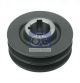 DT Spare Parts Riemenscheibe, Generator 2.21170