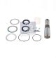 DT Spare Parts Reparatursatz, Achsschenkelbolzen 2.95006