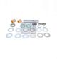 DT Spare Parts Reparatursatz, Achsschenkelbolzen 2.95007