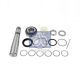 DT Spare Parts Reparatursatz, Achsschenkelbolzen 2.95011