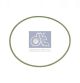 DT Spare Parts Dichtring 3.10174