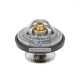 DT Spare Parts Thermostat, Kühlmittel 3.15009