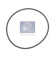 DT Spare Parts Dichtring 3.21052