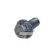DT Spare Parts Schraube 3.59120