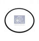 DT Spare Parts Dichtring 3.69023