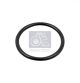 DT Spare Parts Dichtring 3.89476