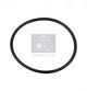 DT Spare Parts Dichtring 3.89518