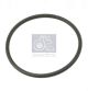 DT Spare Parts Dichtring 3.89539