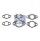 DT Spare Parts Dichtungssatz, Abgaskrümmer 3.90800