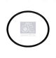 DT Spare Parts Dichtring 4.20166