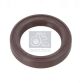 DT Spare Parts Dichtring, Druckluftkompressor 4.20190