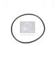 DT Spare Parts Dichtring 4.20329