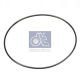 DT Spare Parts Dichtring 4.20339