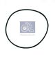 DT Spare Parts Dichtring 4.20455