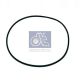DT Spare Parts Dichtring 4.20456