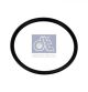 DT Spare Parts Dichtring 4.20524