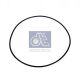 DT Spare Parts Dichtring 4.20543