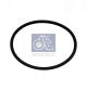 DT Spare Parts Dichtring 4.20620