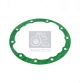 DT Spare Parts Dichtung, Differential 4.20821