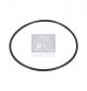 DT Spare Parts Dichtring 4.20881