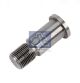 DT Spare Parts Lagerzapfen, Spannrollenhebel 4.40437
