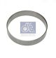 DT Spare Parts Laufring, Kurbelwelle 4.60449
