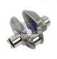 DT Spare Parts Kurbelwelle, Druckluftkompressor 4.60871