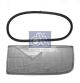 DT Spare Parts Lichtscheibe, Hauptscheinwerfer 4.63500