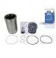 DT Spare Parts Reparatursatz, Kolben/Zylinderlaufbuchse 4.63981