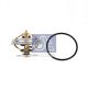 DT Spare Parts Thermostat, Kühlmittel 4.64801
