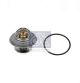 DT Spare Parts Thermostat, Kühlmittel 4.68171