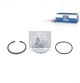 DT Spare Parts Verschlussscheibe, Achsschenkel 4.77100