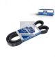 DT Spare Parts Keilriemen 4.81202SP