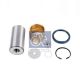 DT Spare Parts Reparatursatz, Achsschenkelbolzen 4.91110
