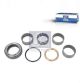 DT Spare Parts Reparatursatz, Achsschenkelbolzen 4.91477