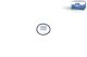DT Spare Parts Dichtring, Einspritzventil 5.00680